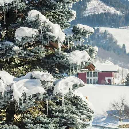 Cozy In Walchen Austria Near Ski Area
